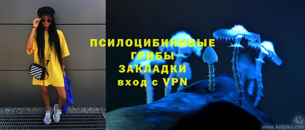 винт Костерёво